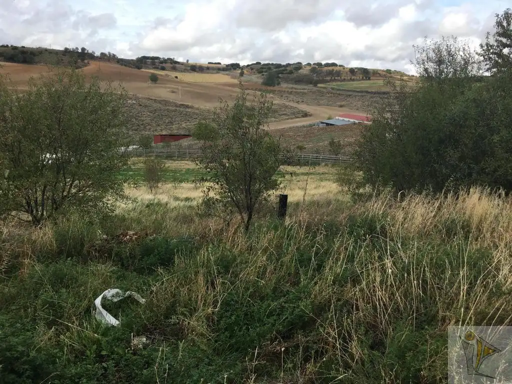 Grundstücke und Bauplätze zum Verkauf in CL OLIVILLA, imagen 3