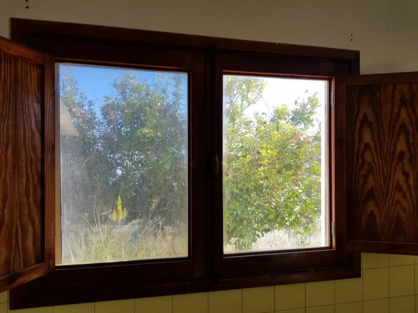 Jardín de Casa o chalet en venta en Teror con Jardín privado