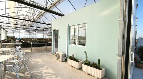 Photo 4 of Land for sale in Polígono 87 Paraje 10 Baya Baja, Las Bayas, Elche / Elx