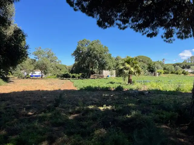 Finca rústica en venta en Vejer de la Frontera