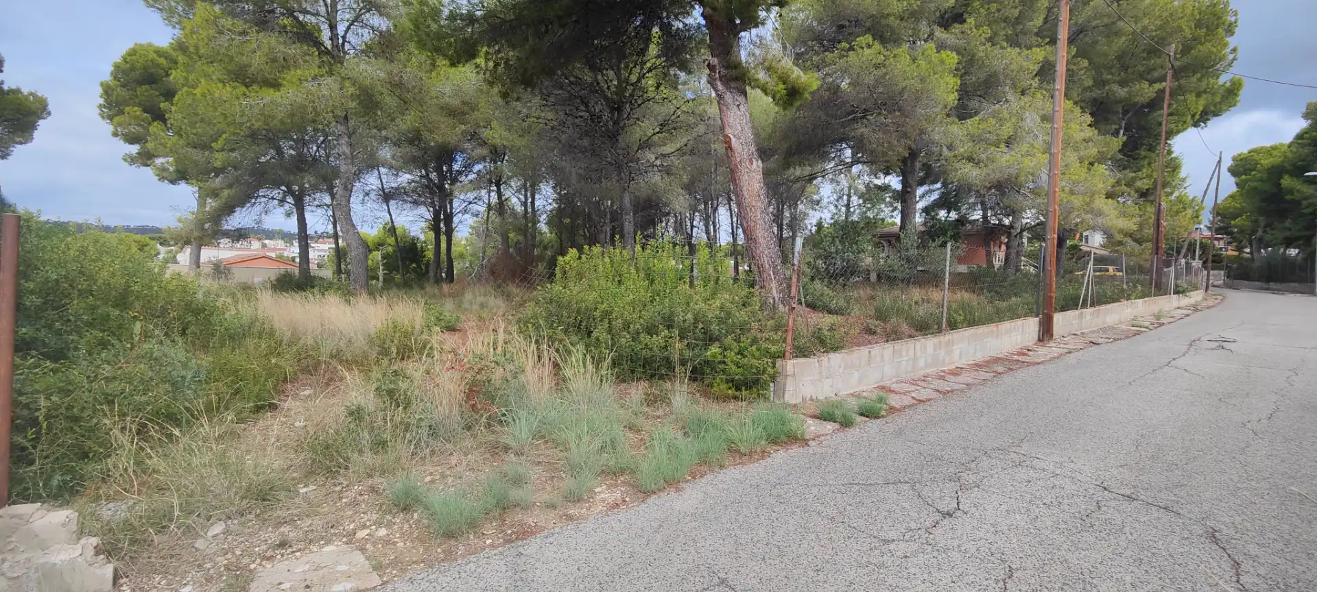 Terreny residencial en venda a Carrer Acàcies, imagen 2