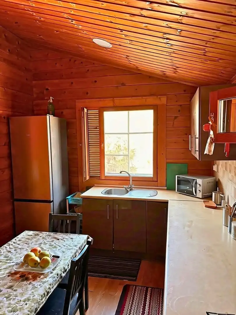 Kitchen of Flat for sale in Los Conejos