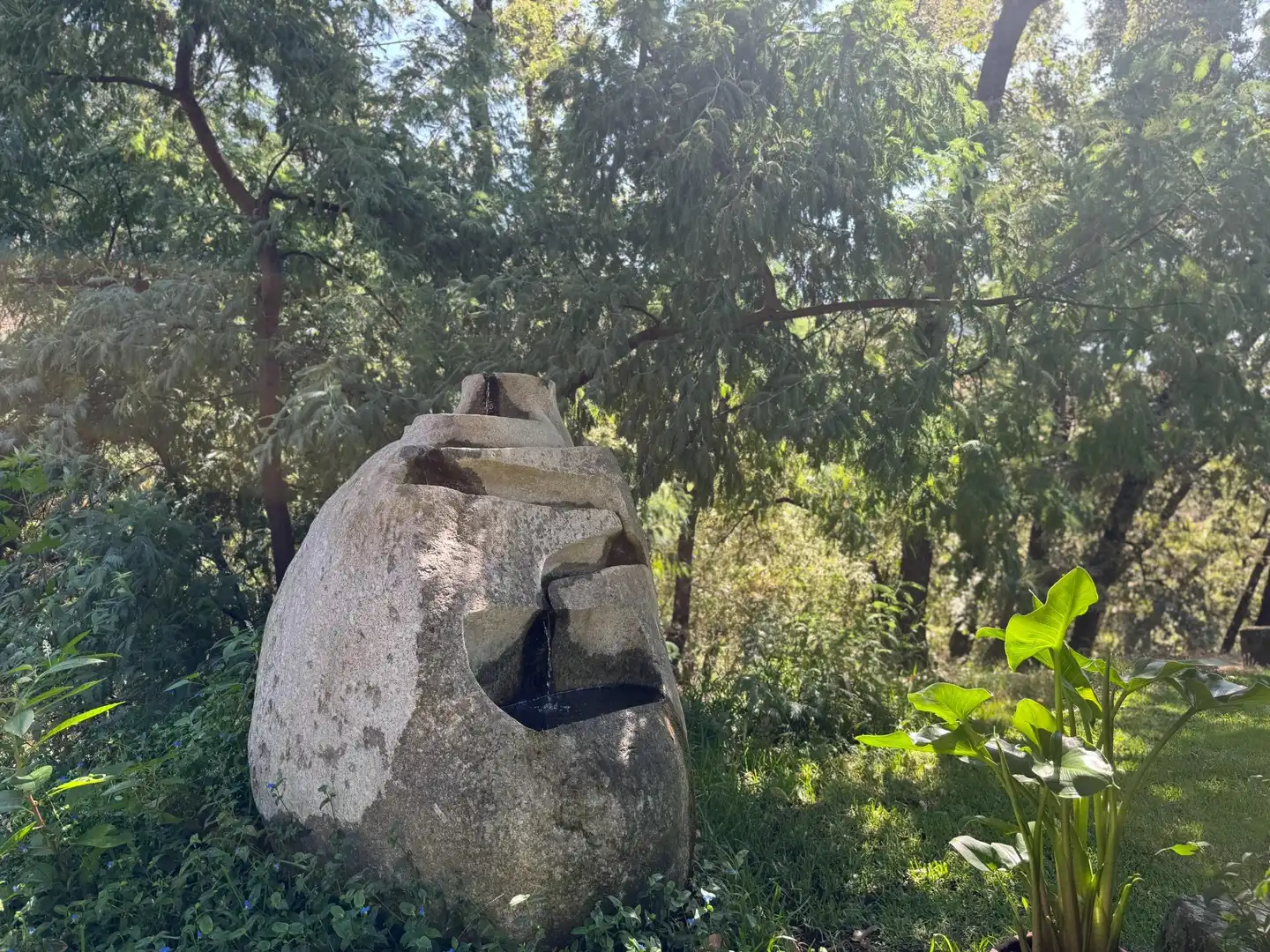 Jardí de Casa o xalet en venda en Candeleda amb Aire condicionat, Calefacció i Jardí privat