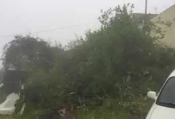 Terreny rústic en venda a C/ El Toril, imagen 8