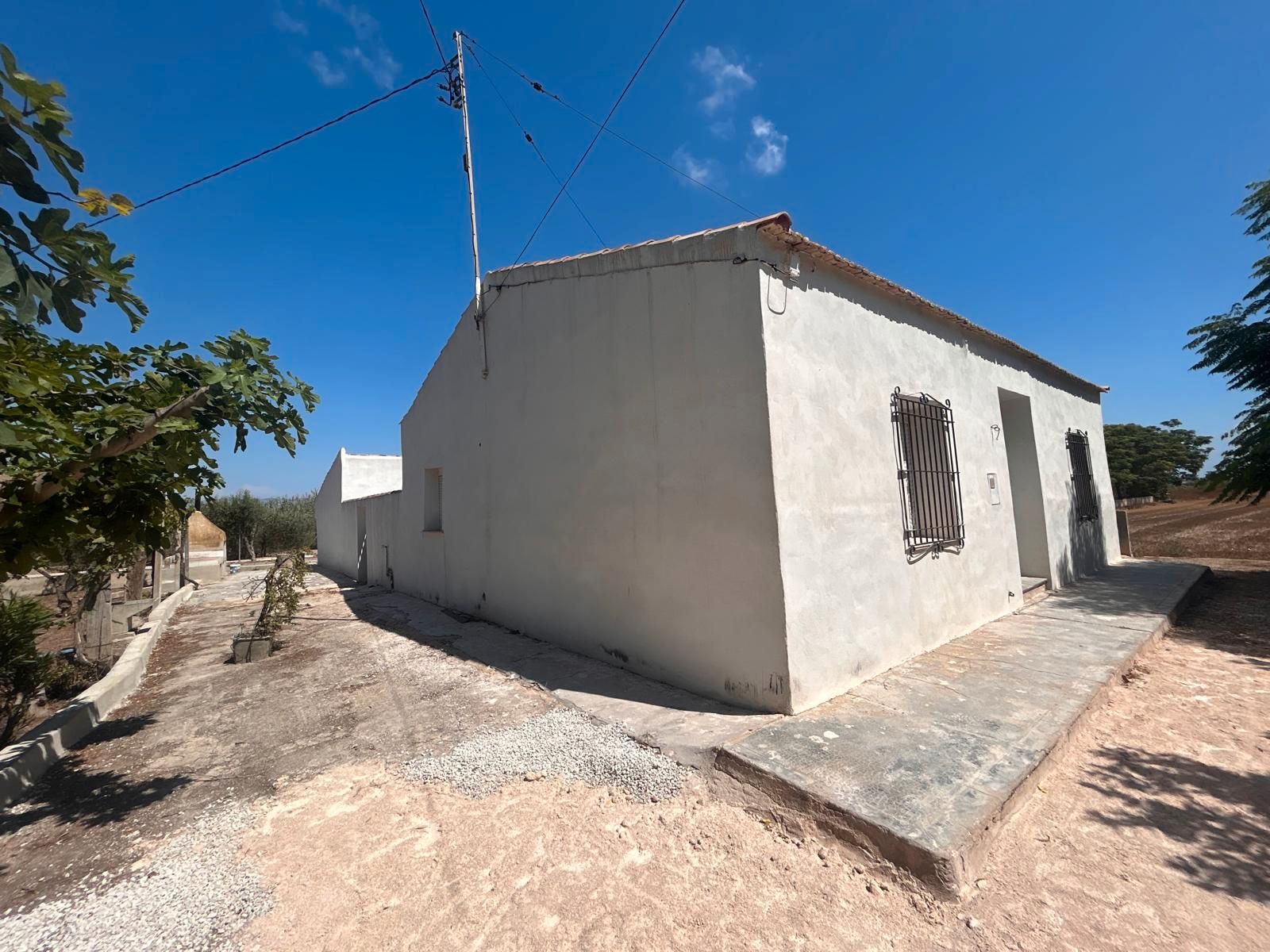 Vista exterior de Finca rústica en venda en Dolores amb Jardí privat