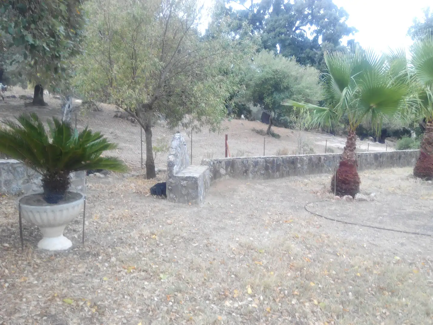 Casa in vendita a Ubrique, imagen 5