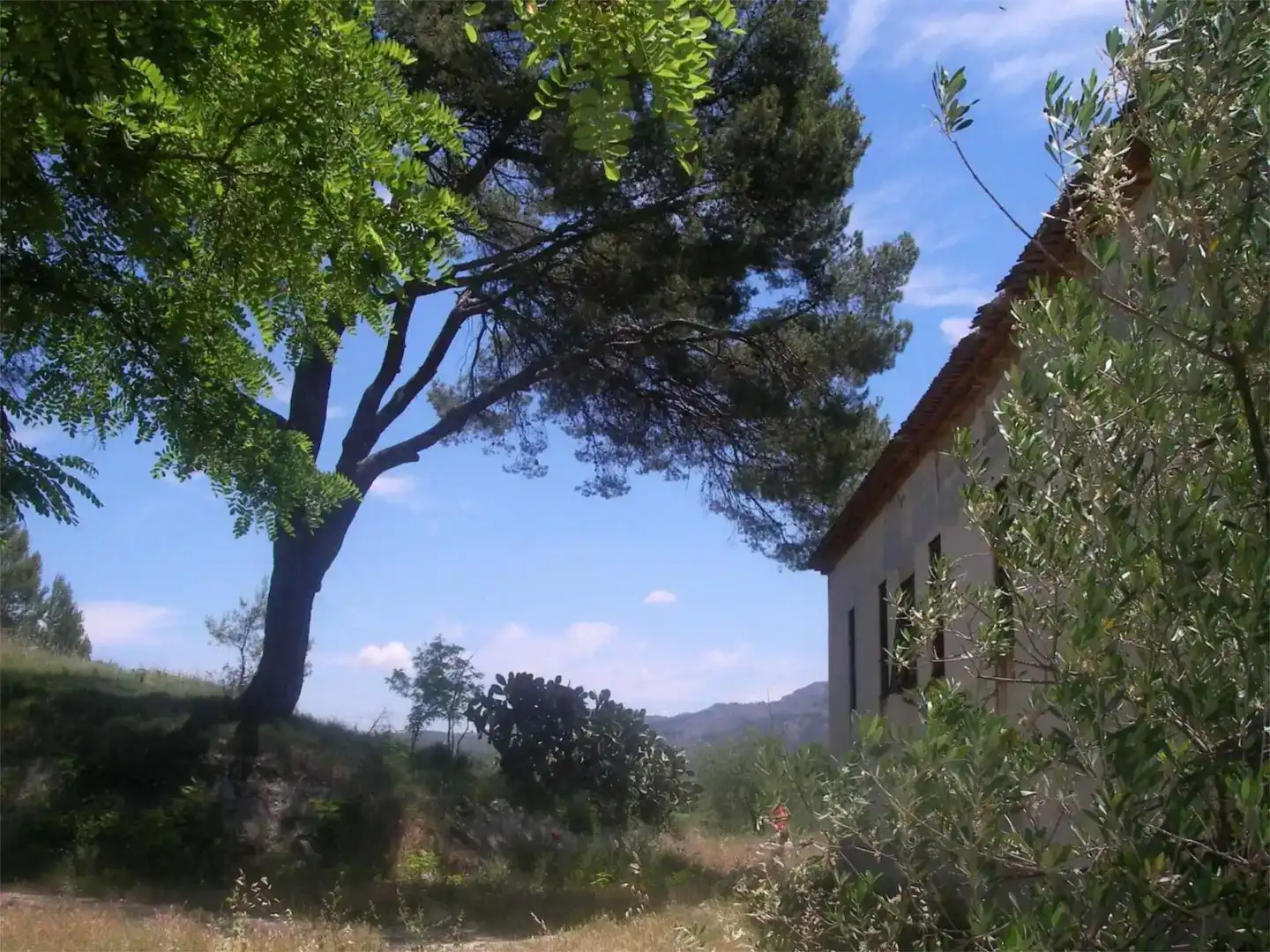 Land for sale in Planes