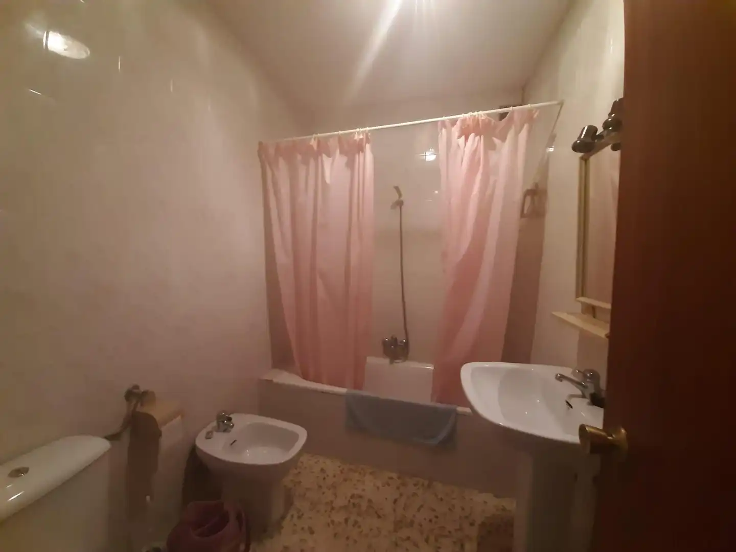 Baño de Casa o chalet en venta en Torremocha con Jardín privado