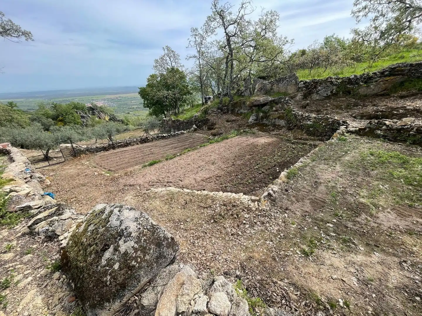 Terreni e lotti in vendita a Montánchez, imagen 16