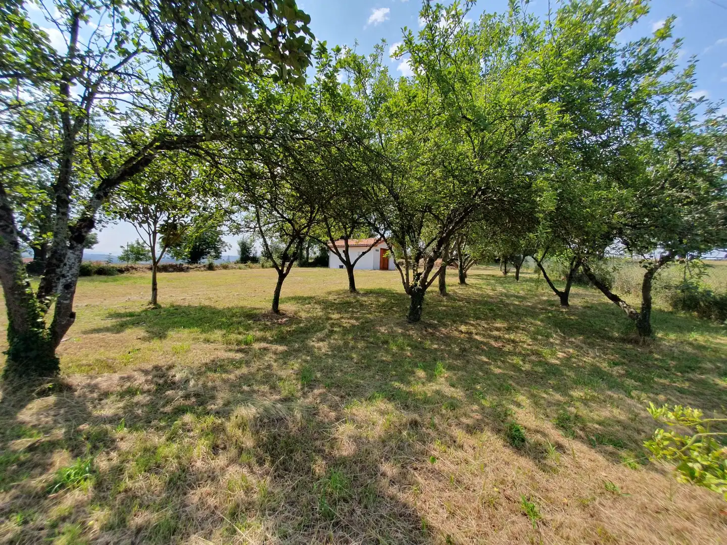 Bungalow zum Verkauf in Las Regueras, imagen 10
