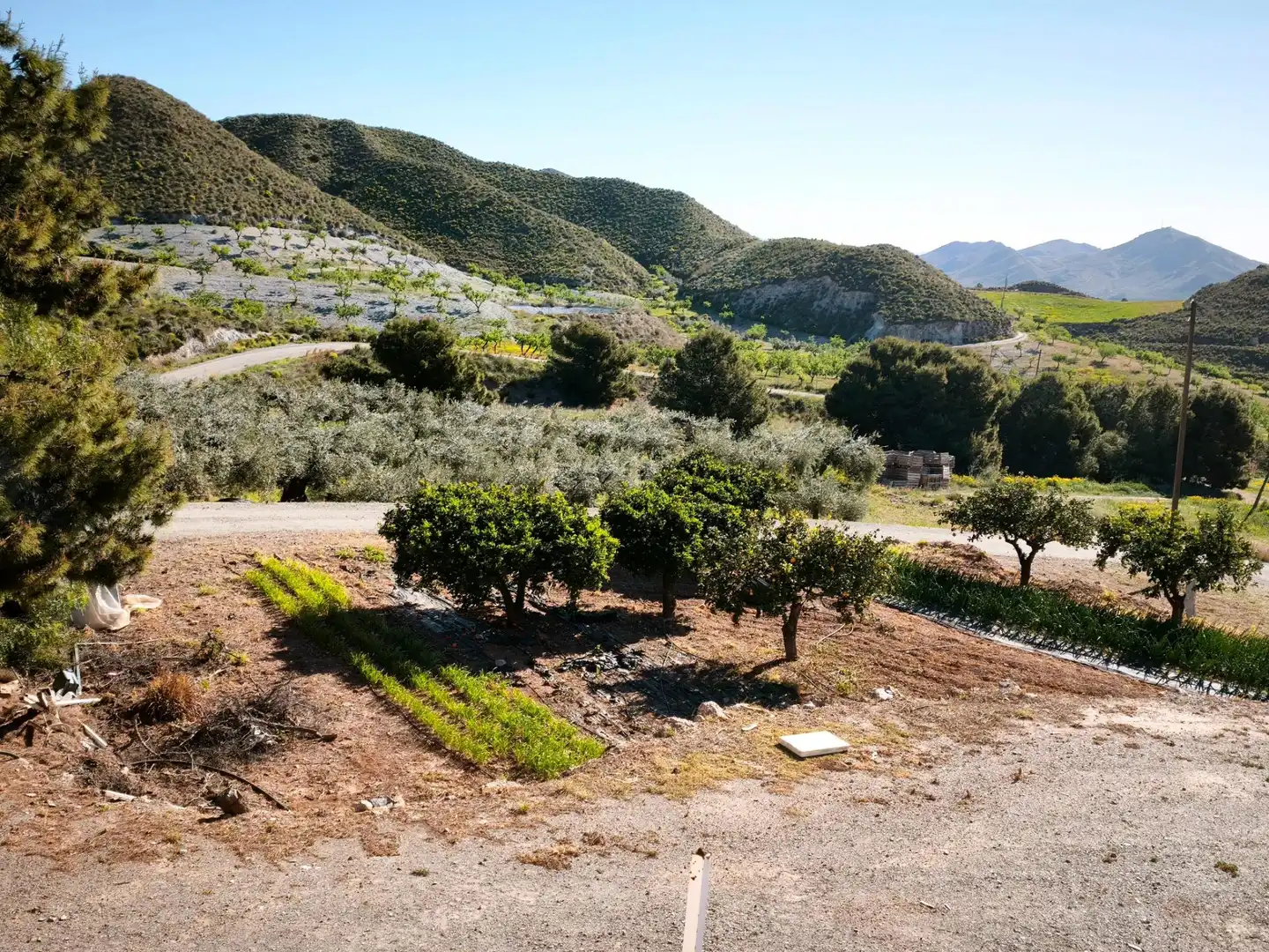 Terrains et parcelles à vendre à MORATA, imagen 45