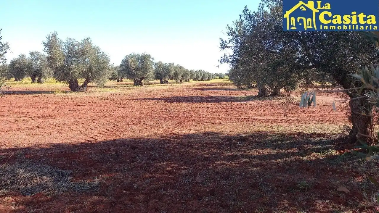 Terrenys i solars en venda a Almagro, imagen 2