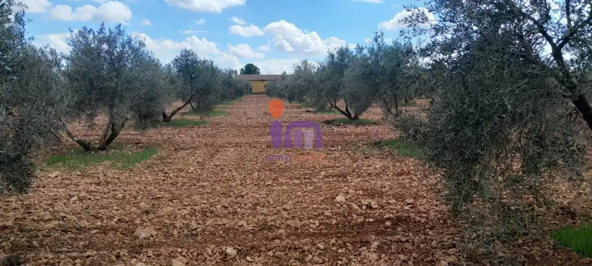 Finca rústica en venda en Valdepeñas
