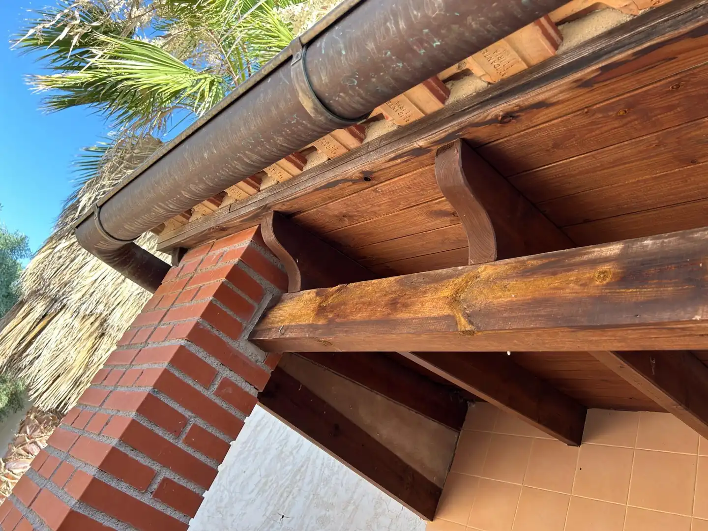 Vista exterior de Casa o chalet en venta en Novelda con Calefacción, Jardín privado y Terraza