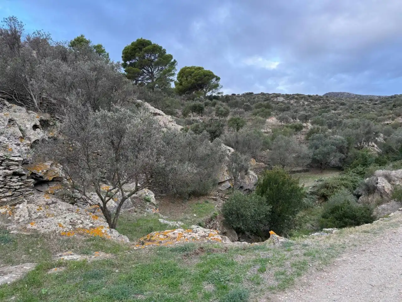Rural land for sale in Cadaqués, imagen 10