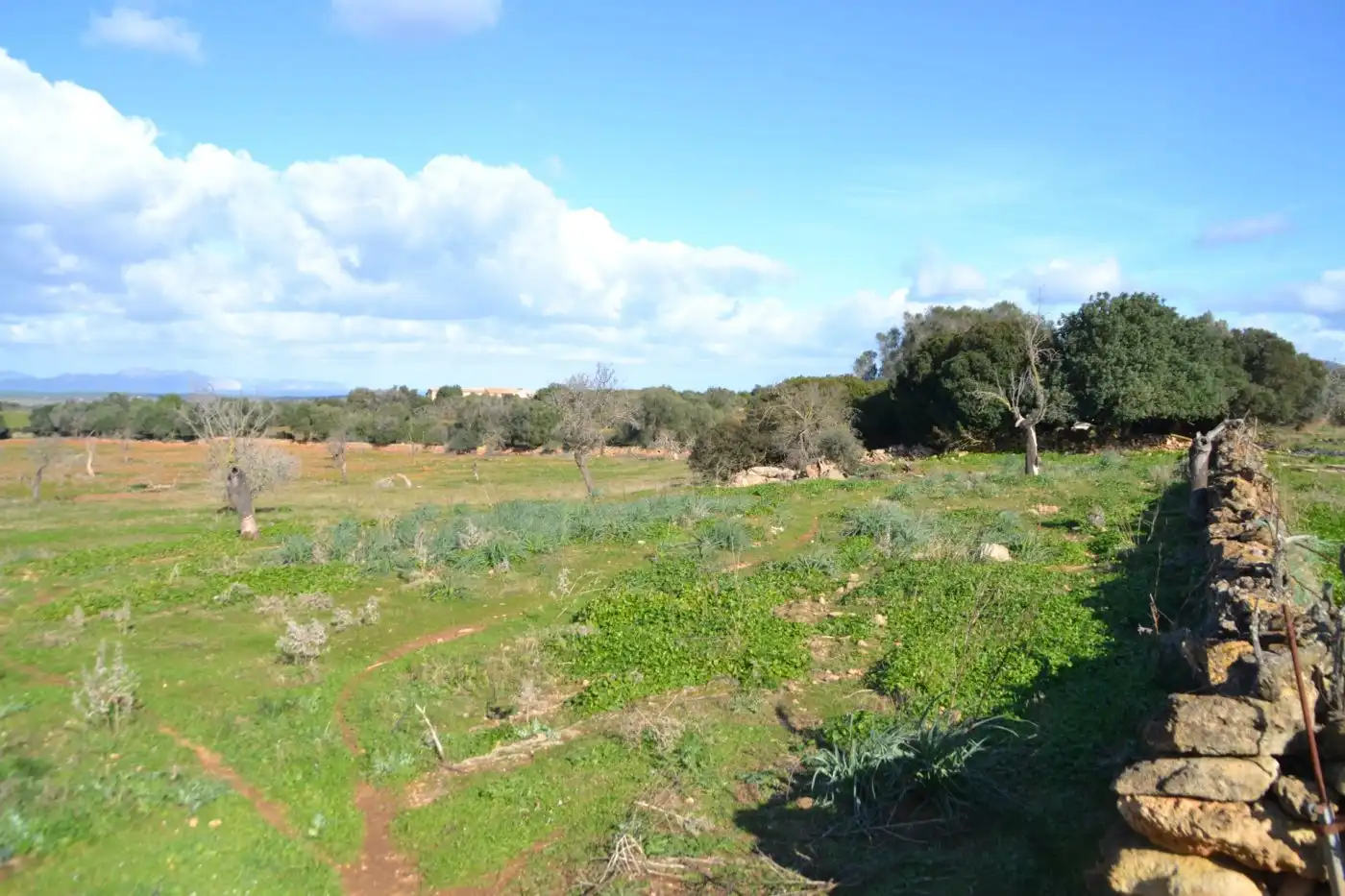 Maison rustique à vendre à Manacor Centre