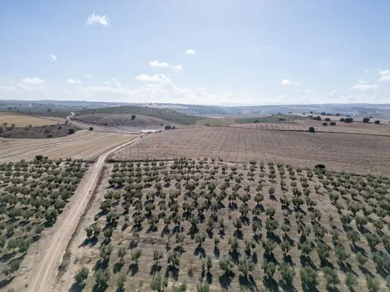 Terreni e lotti in vendita a Alamedilla, imagen 20