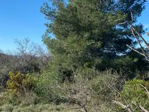 Terreno en venta en El Pont d'Armentera