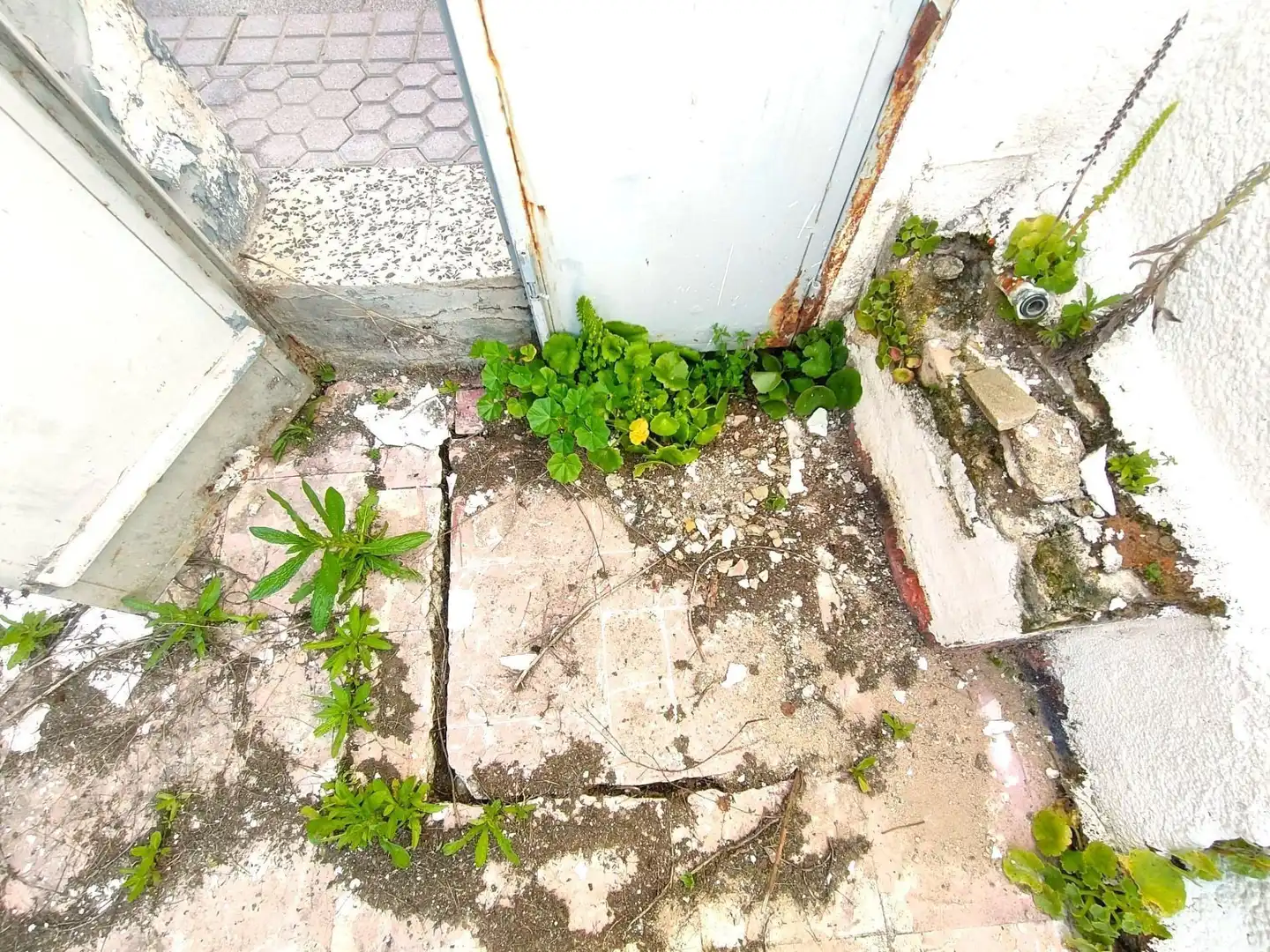 Terreno residencial en venta en BORJA, imagen 3