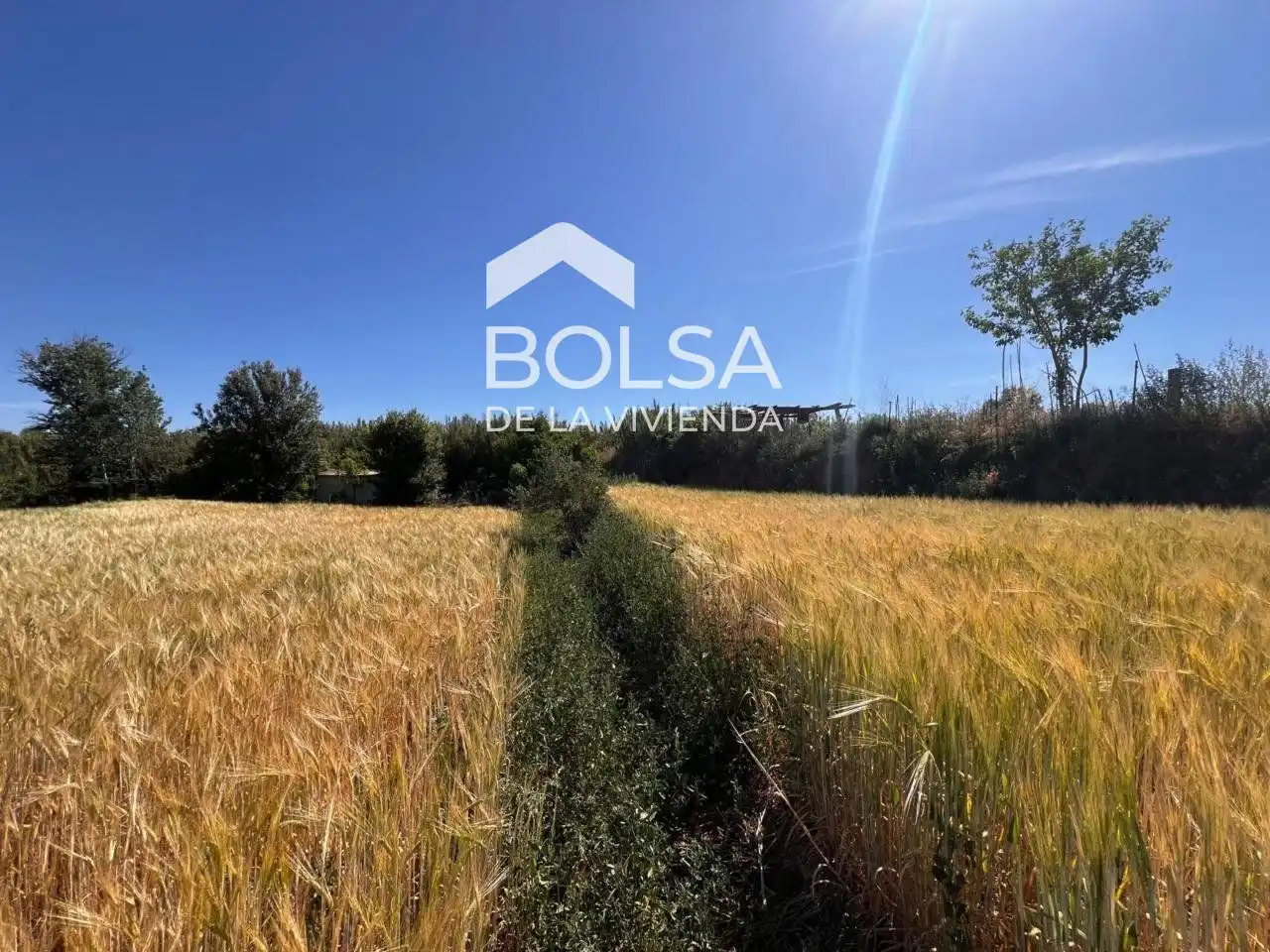 Rural land for sale in Barri Mion - Puigberenguer, imagen 2