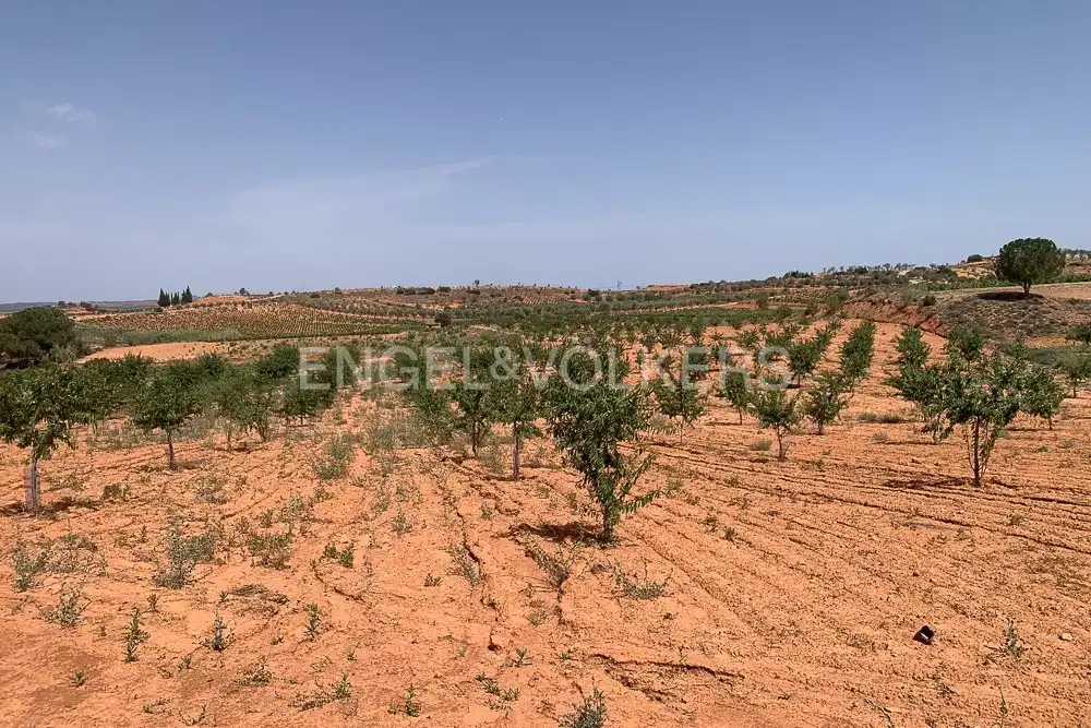 Lands and plots for sale in Requena, imagen 47