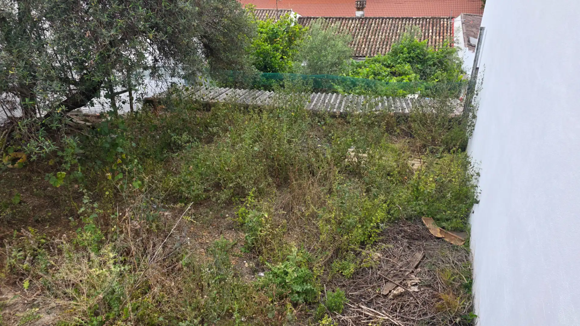 Residential land for sale in Grazalema, imagen 4
