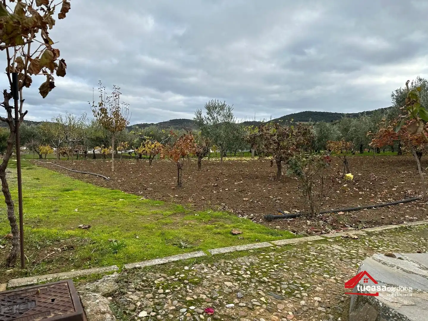 Terreno rustico in vendita a Villanueva del Rey, imagen 20