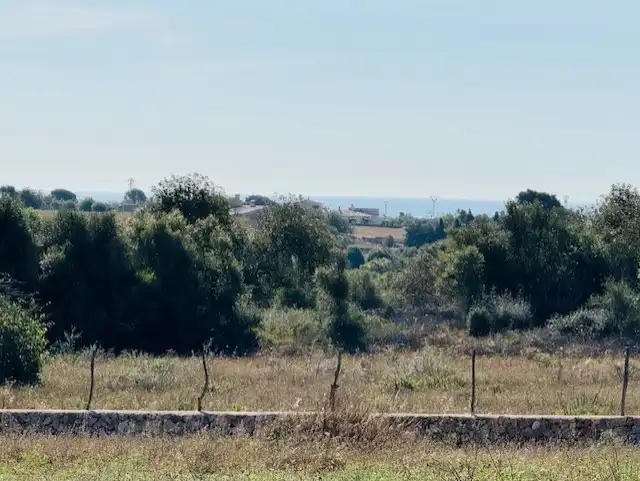 Land for sale in Manacor