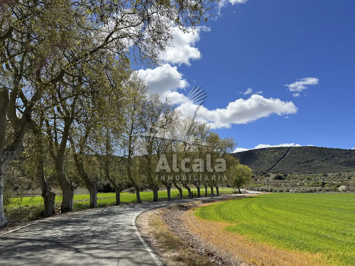 Vista exterior de Casa o chalet en venta en Utande