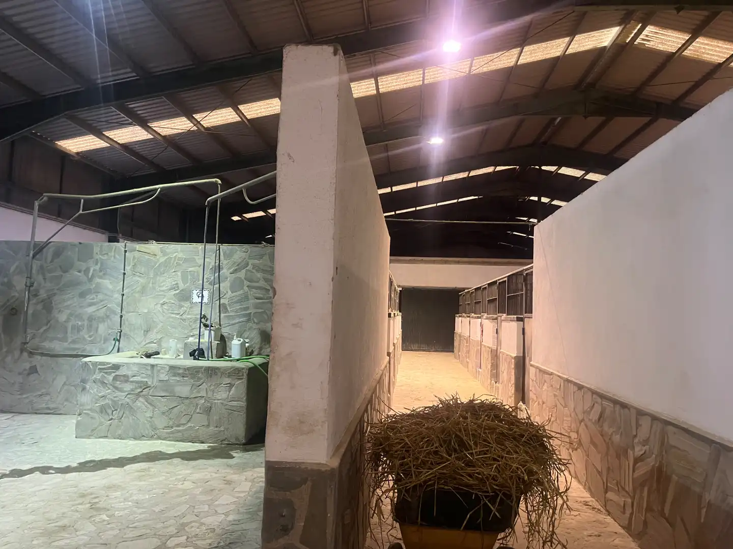 Industrial building for sale in Carretera de Córdoba, imagen 108