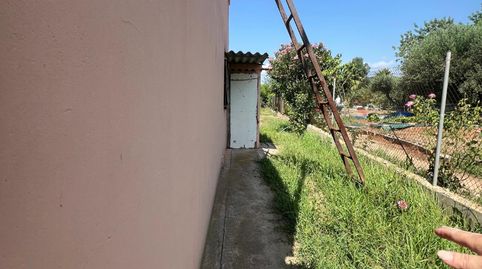Foto 2 de Finca rústica en venda a Camí de la Donació, 292a, El Grao, Castellón de la Plana / Castelló de la Plana
