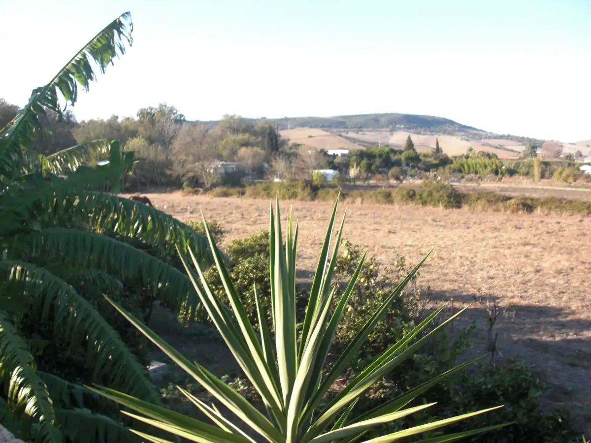 Maison rustique à vendre à Vejer, imagen 55