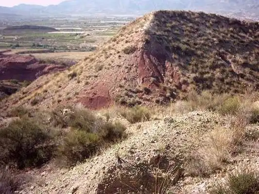 Terreny rústic en venda a Agost, imagen 3