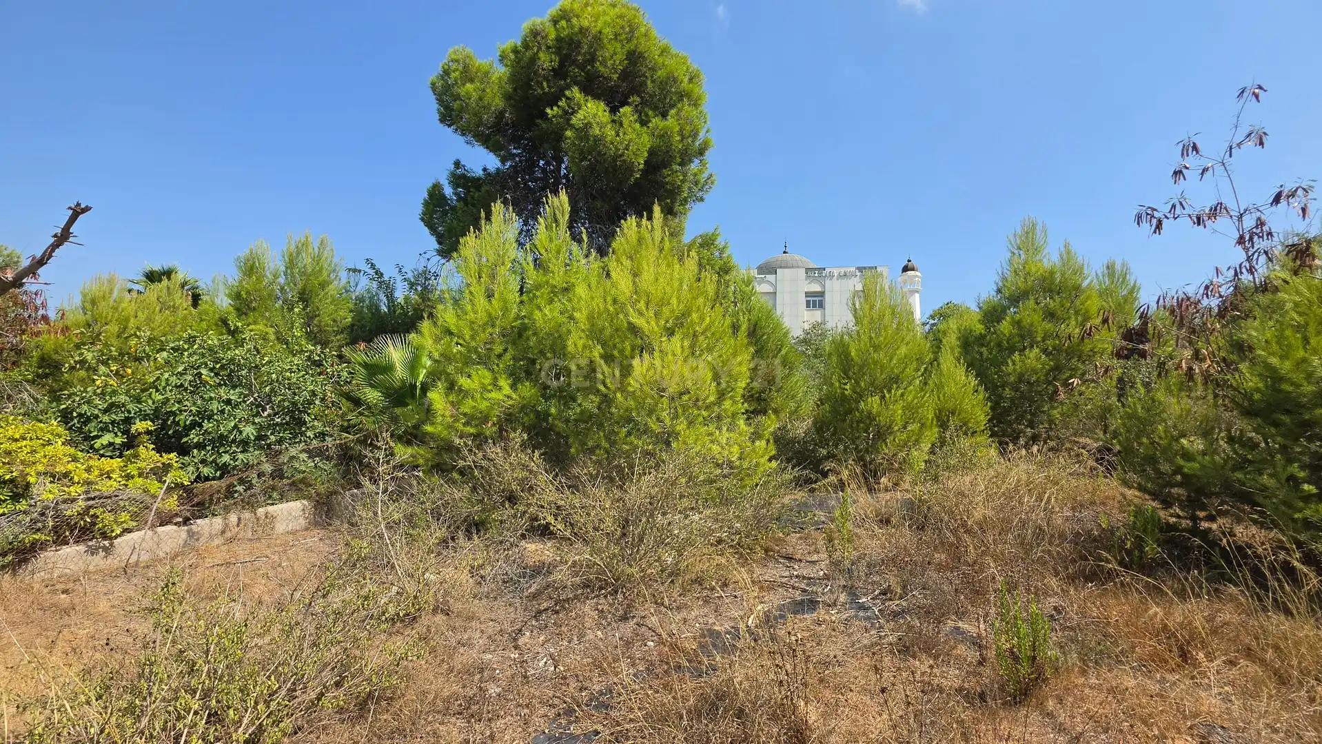 Residential zum Verkauf in La Pobla de Vallbona