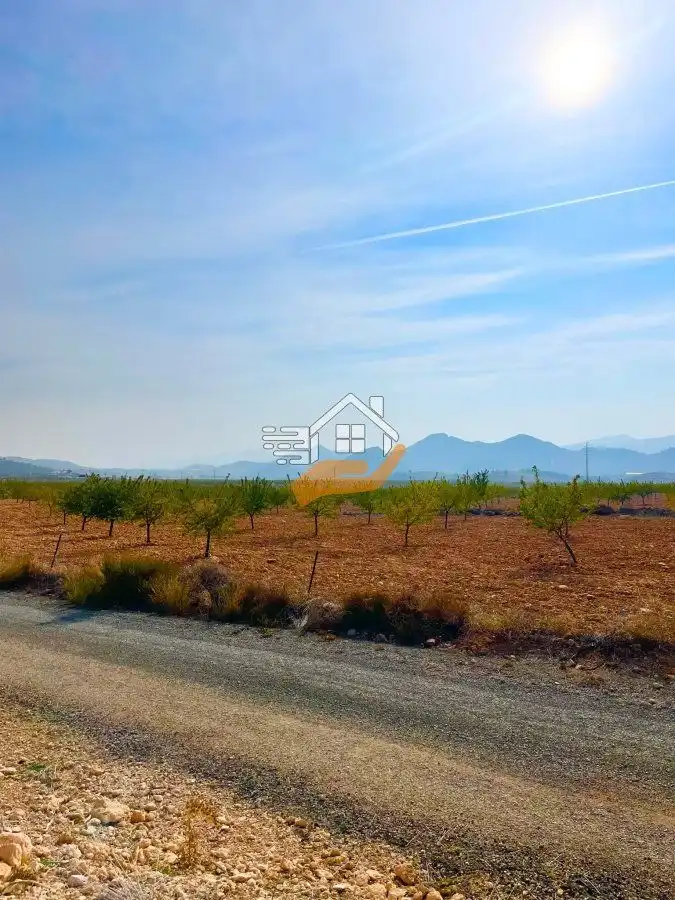 Residential land for sale in Vélez-Rubio, imagen 11