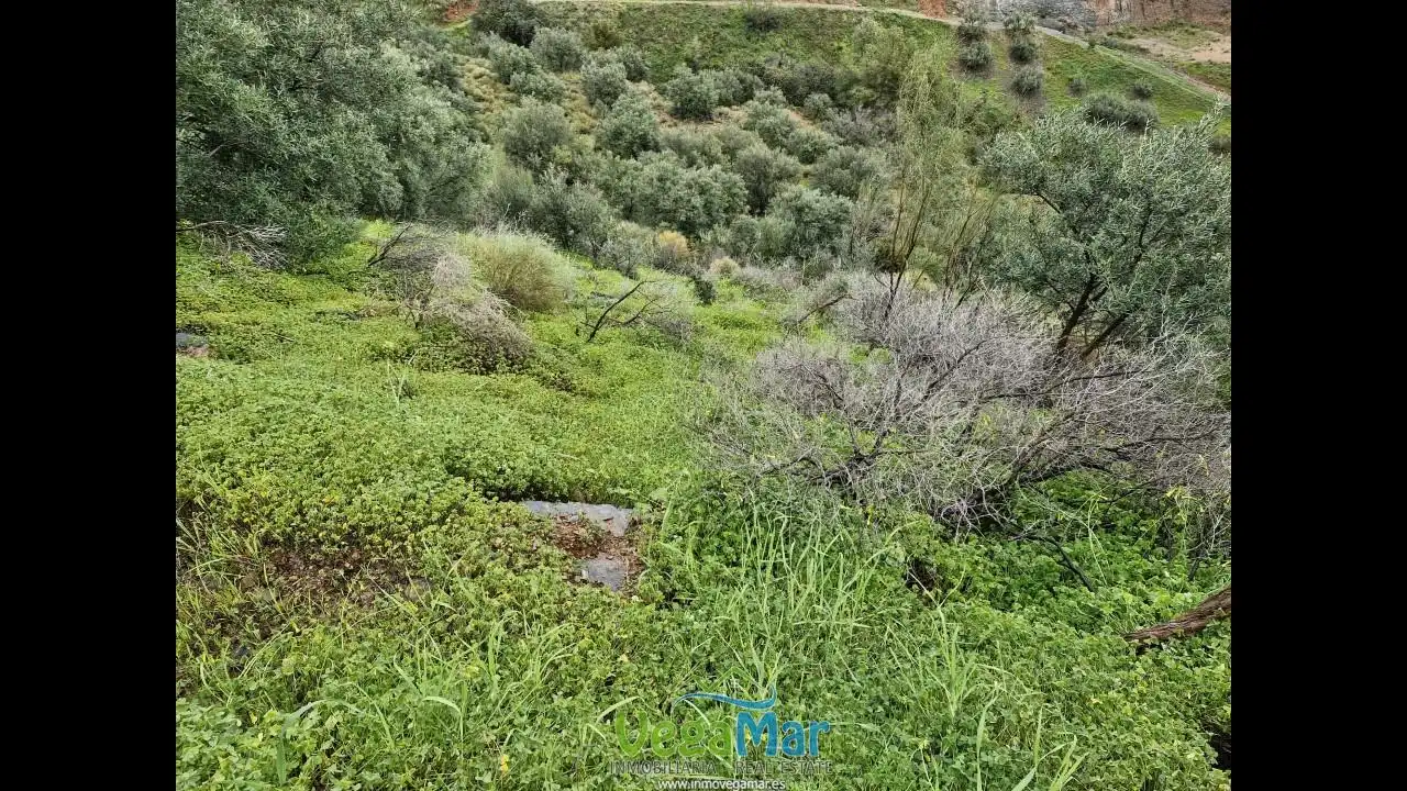 Grundstücke und Bauplätze zum Verkauf in Pista del Cerval, imagen 30