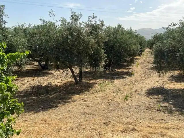 Terreno rustico in vendita a JUEVES POR LA MAQANA POLIGONO 3, imagen 10