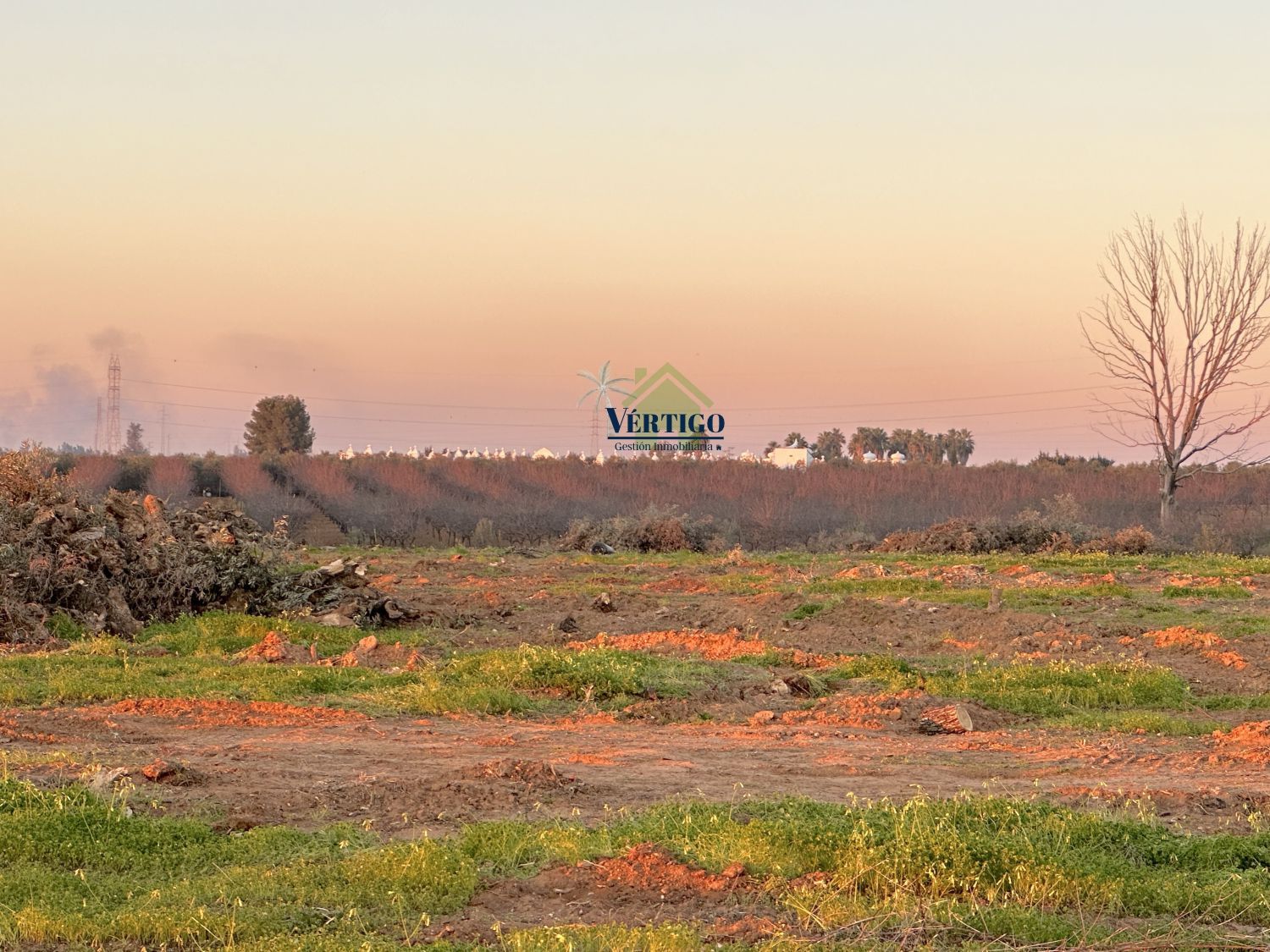 Finca rústica en venda en Alcalá de Guadaira
