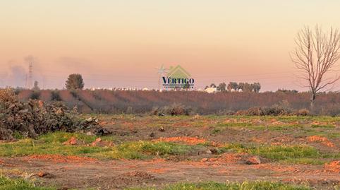 Foto 2 de Finca rústica en venda a Huerta de la Marquesa, 3, Oromana, Sevilla