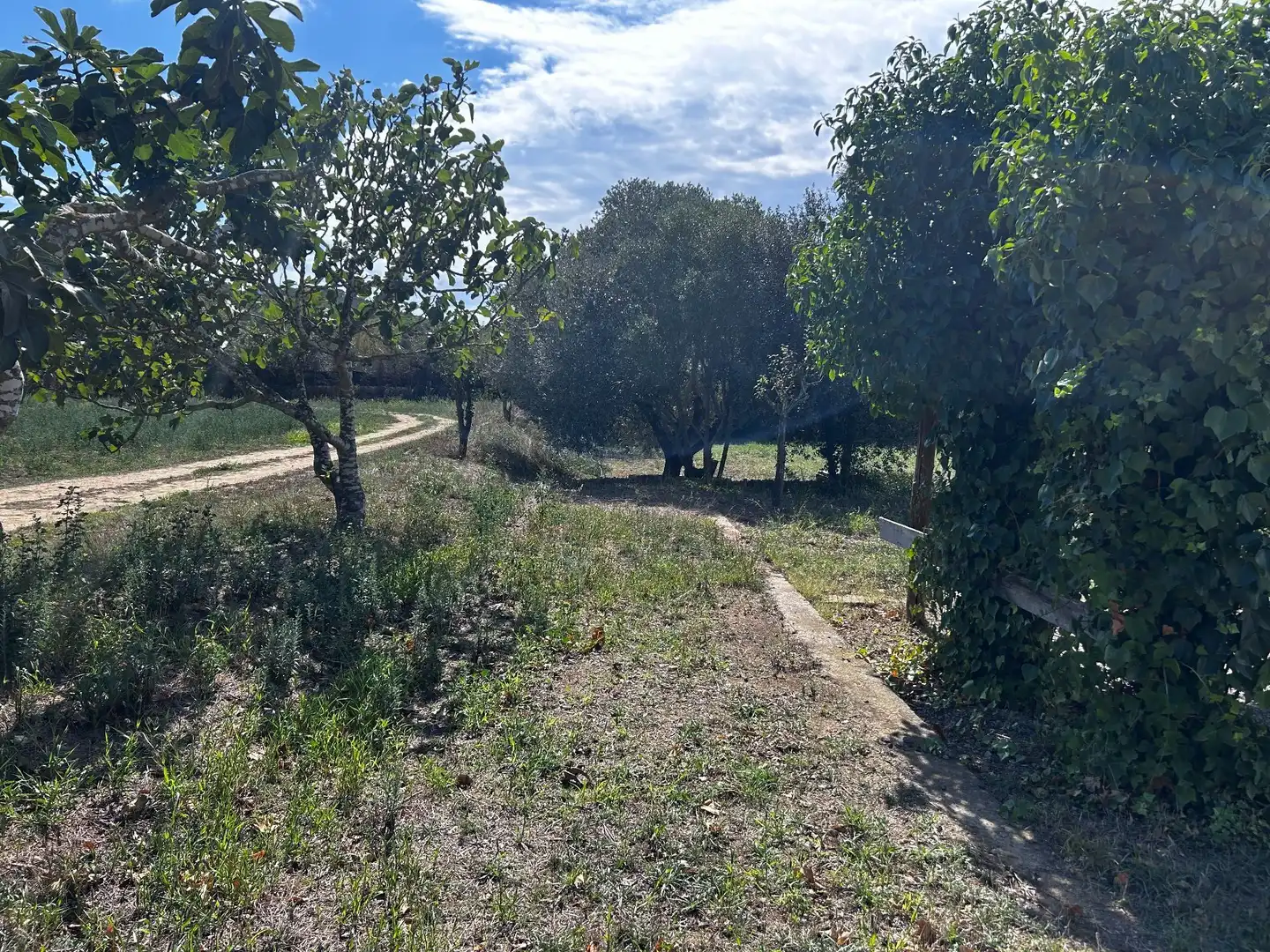 Finca rústica en venta en Palamós con Jardín privado