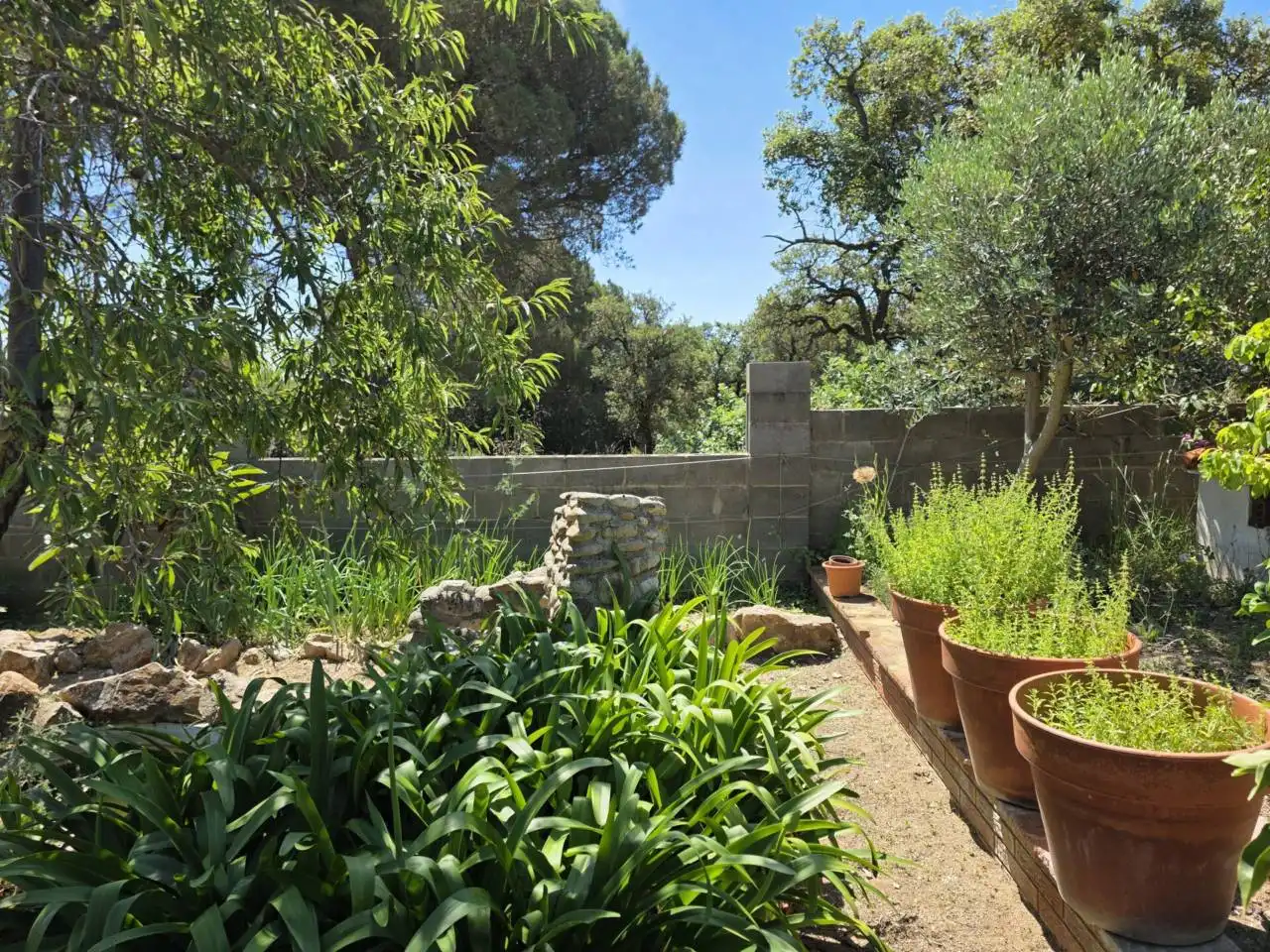 Jardí de Casa o xalet en venda en Malgrat de Mar amb Aire condicionat, Calefacció i Jardí privat