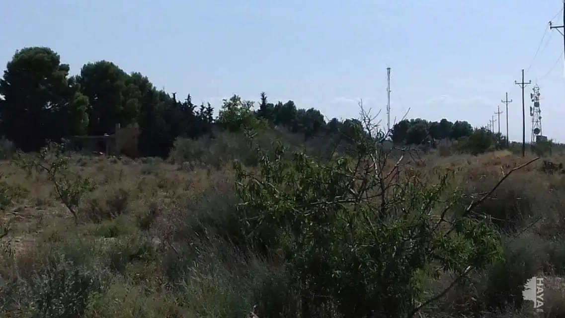Terrenos y solares en venta en Partida Pla de la Cerdera, imagen 7