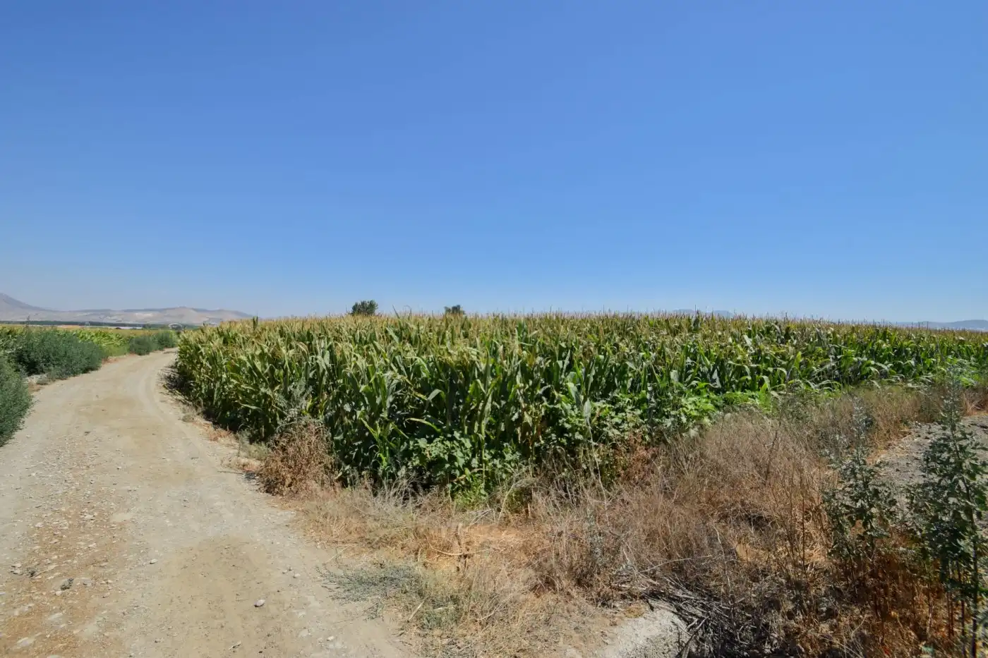 Rural land for sale in Camino PRADOS, imagen 5