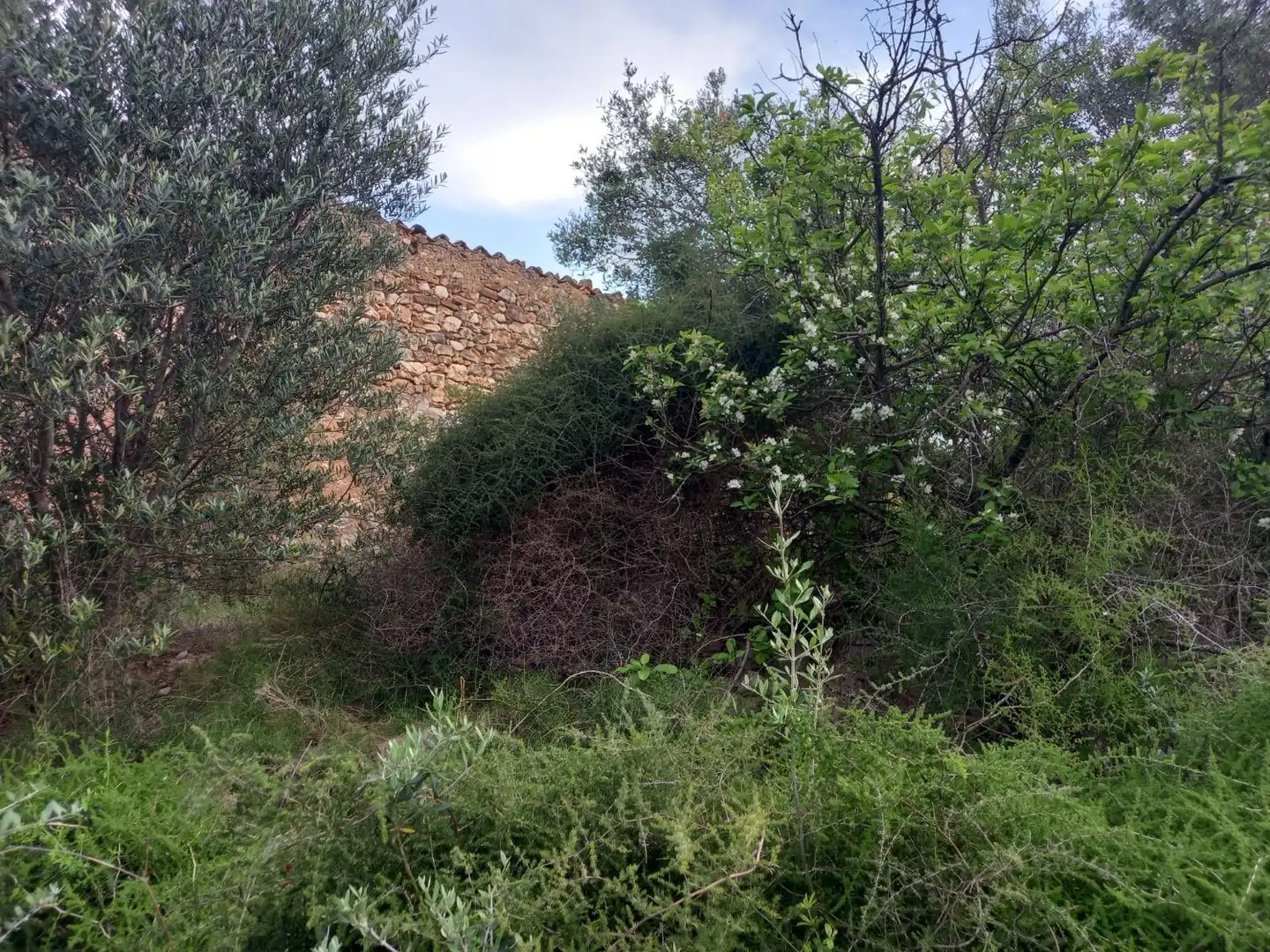 Rural land for sale in El Pinell de Brai, imagen 21