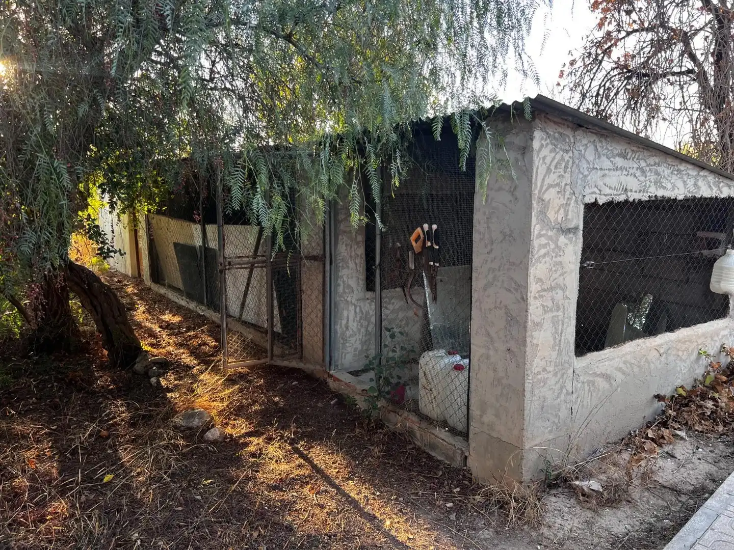 Vista exterior de Casa o xalet en venda en Elche / Elx amb Jardí privat, Terrassa i Traster