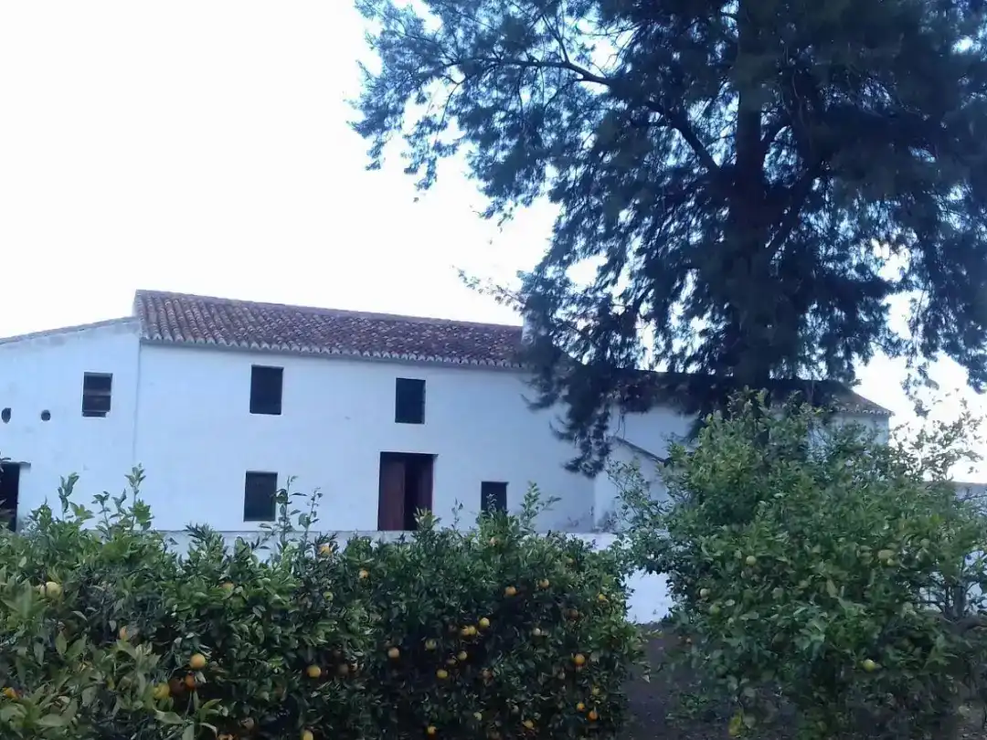 Vista exterior de Finca rústica en venda en Pizarra