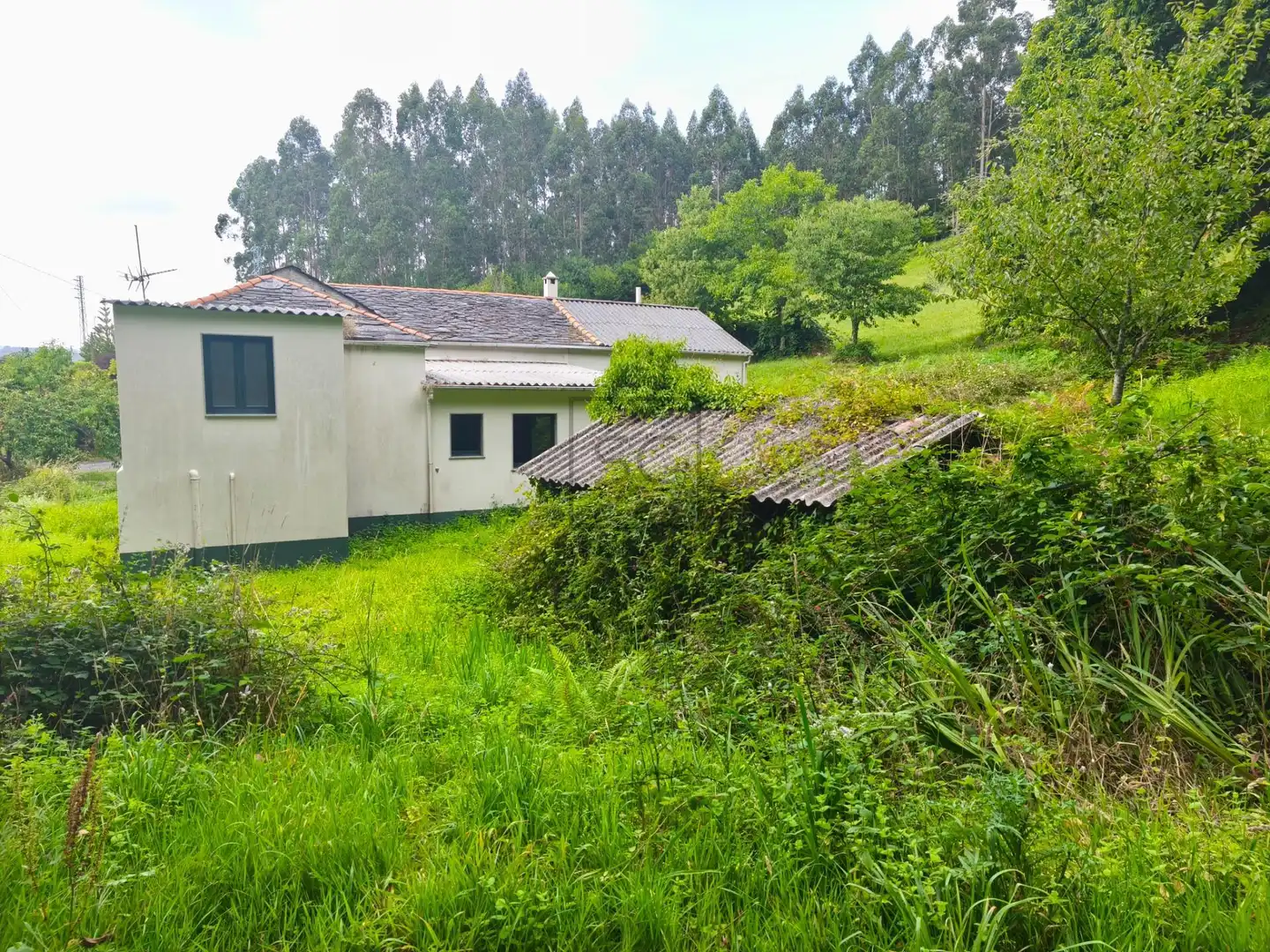 Casa en venda a SEARA. FERREIRA, imagen 34