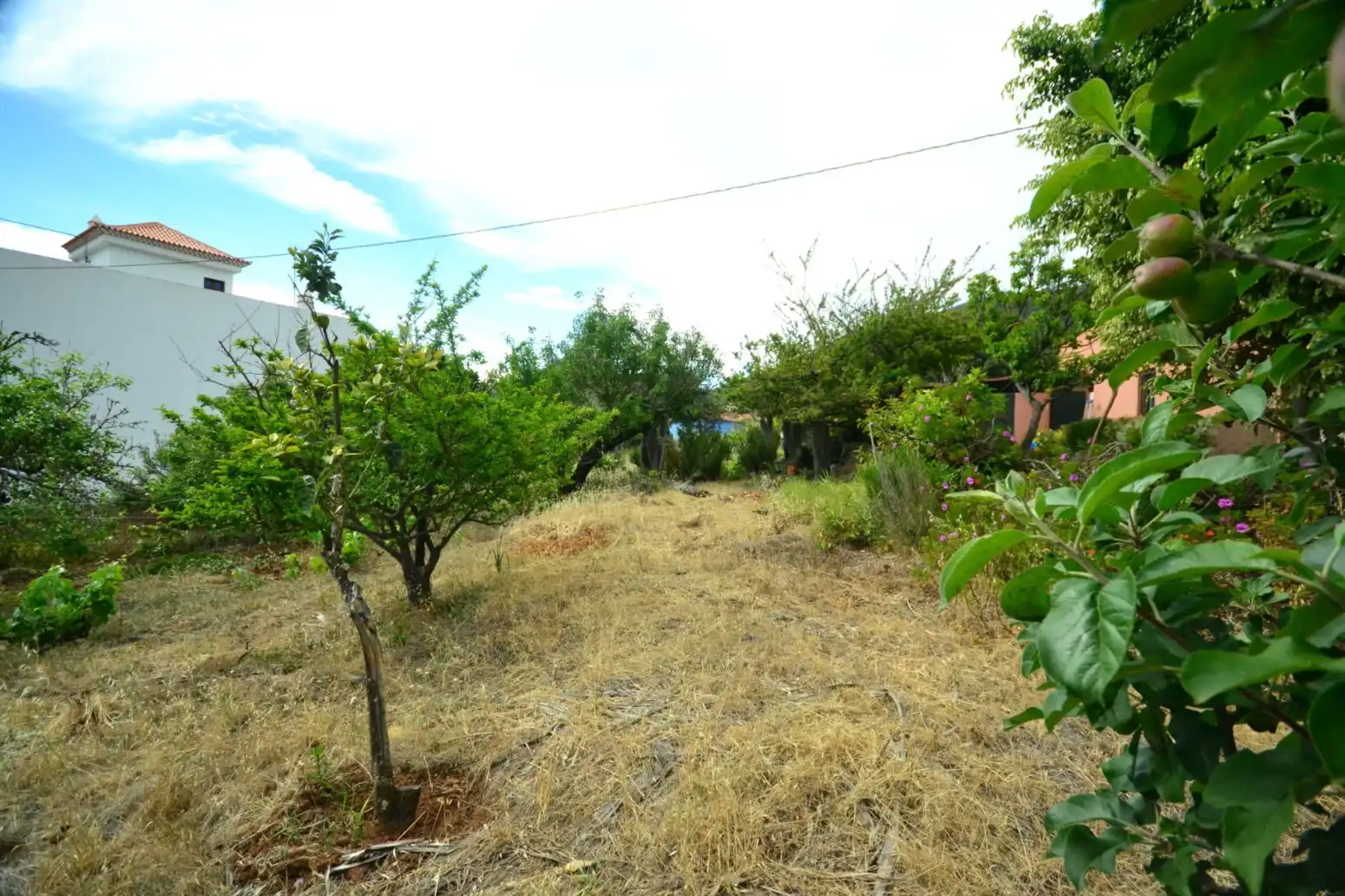 Casa in vendita a Tegueste - Calle TEJAR, imagen 17