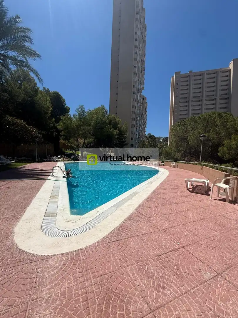 Swimming pool of Flat for rent in Benidorm  with Air Conditioner, Terrace and Furnished