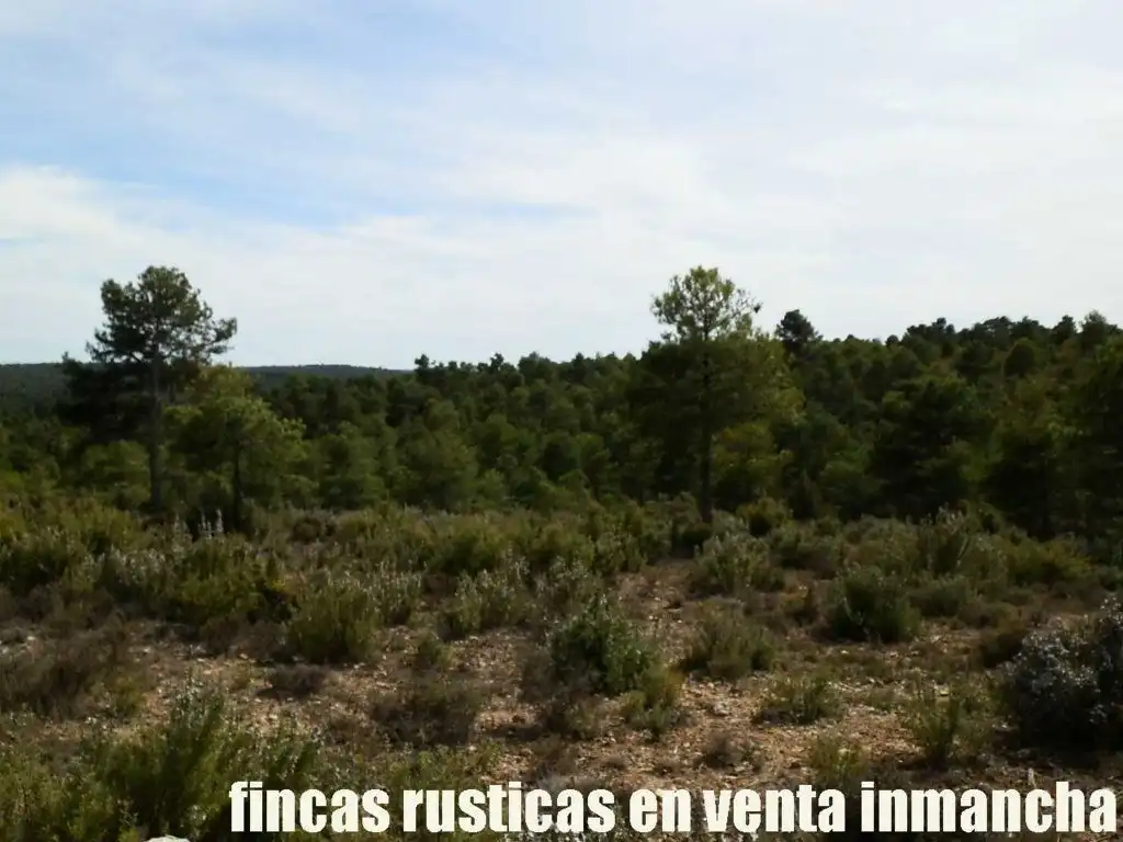Terreni e lotti in vendita a Carboneras de Guadazaón, imagen 10